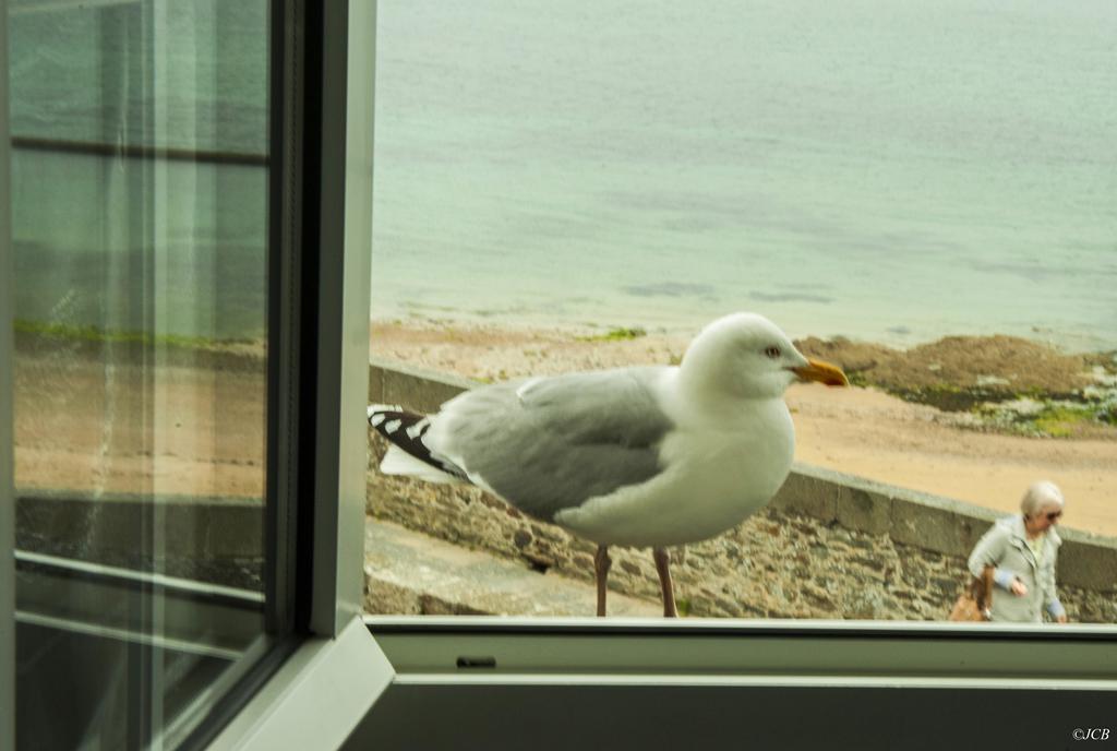 Hotel La Porte Saint Pierre-Logis Hotel Intra Muros エクステリア 写真